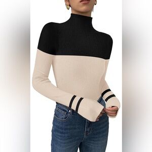 Colorblock Turtleneck Sweater